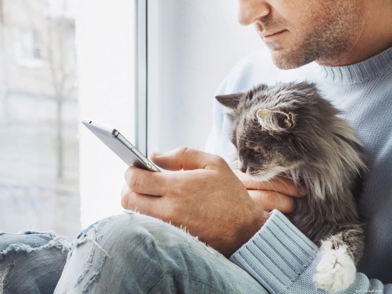 Cat Spay & Neuter: Comprehensive Guide to Costs, Procedures, and Post‑Surgery Care