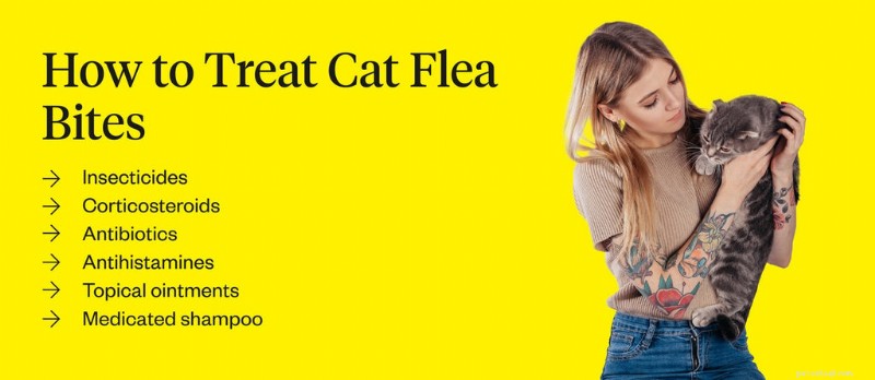 Effective Treatment and Prevention of Cat Flea Bites