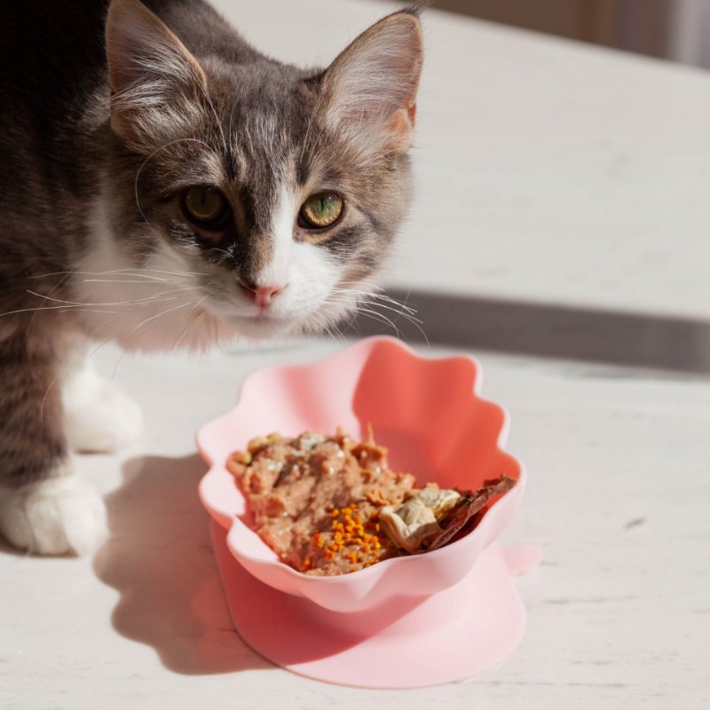 Whiskies Cat Bowl – Ergonomic, Food‑Grade Silicone Feeder for Stress‑Free Cat Eating
