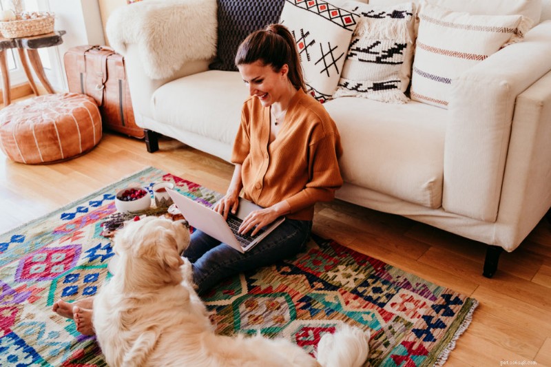 Top 3 OTC Flea Medications for Dogs: A Vet‑Approved Guide