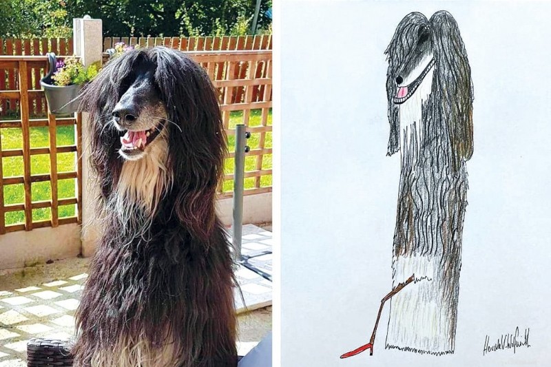 UK Artist Phil Heckels  Quirky Pet Portraits Raise £400k for Charity