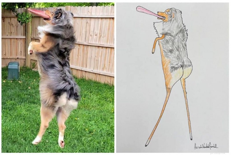 UK Artist Phil Heckels  Quirky Pet Portraits Raise £400k for Charity