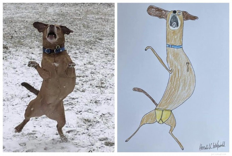 UK Artist Phil Heckels  Quirky Pet Portraits Raise £400k for Charity