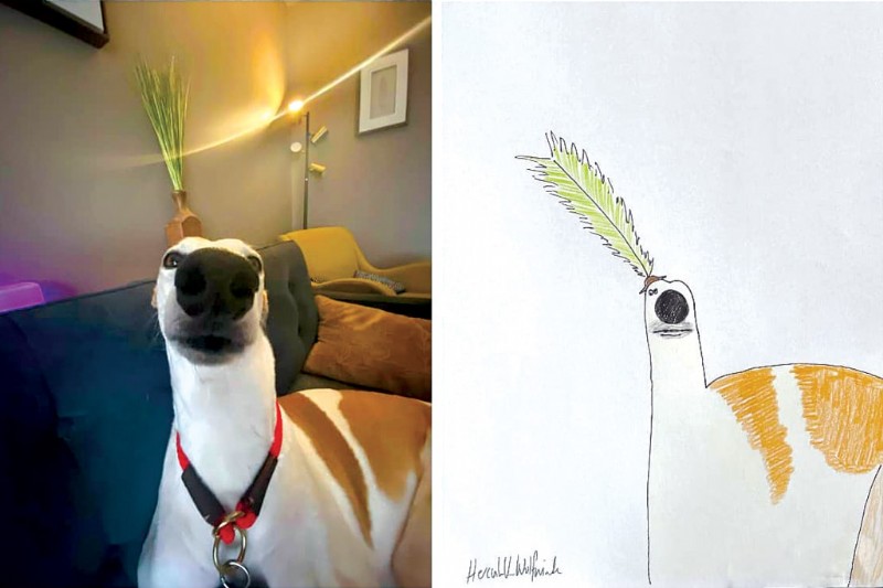 UK Artist Phil Heckels  Quirky Pet Portraits Raise £400k for Charity