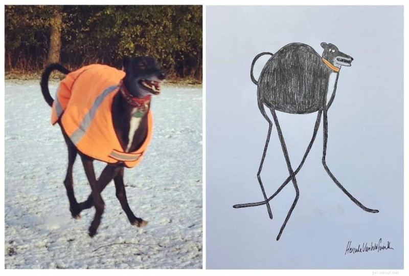 UK Artist Phil Heckels  Quirky Pet Portraits Raise £400k for Charity