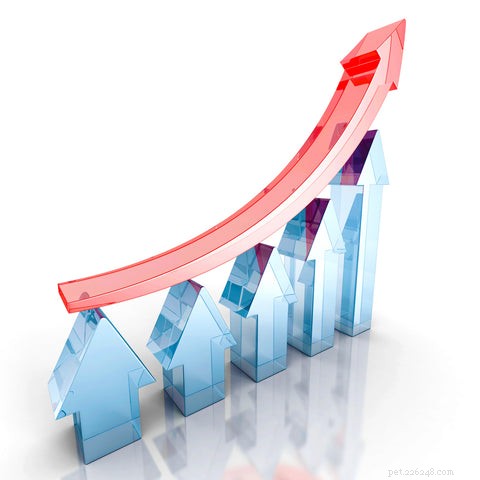 How U.S. Tariffs Could Drive Up Cat Food Prices