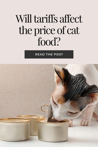 How U.S. Tariffs Could Drive Up Cat Food Prices