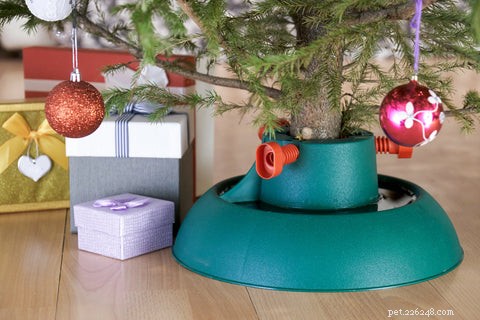 Can You Cat-Proof Your Christmas Tree? Safe Strategies for Cat Owners
