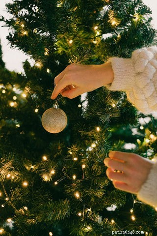 Can You Cat-Proof Your Christmas Tree? Safe Strategies for Cat Owners