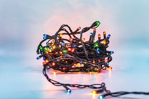 Can You Cat-Proof Your Christmas Tree? Safe Strategies for Cat Owners