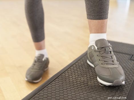 6 Dog-Friendly Workouts to Keep You and Your Pup Fit