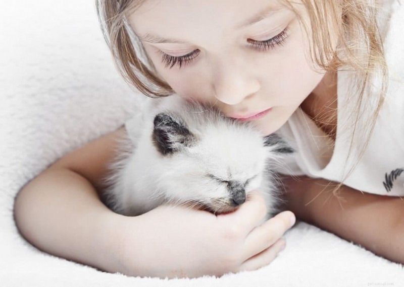 Feline Leukemia Virus: Risks, Diagnosis, and Prevention for Your Cat