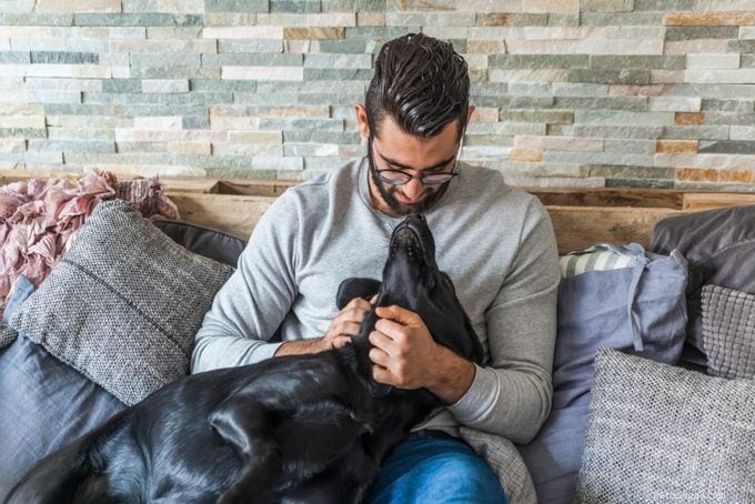 Male vs. Female Dogs: Key Differences to Consider When Choosing a Companion