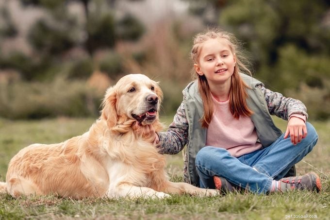 20 Dog Breeds Known for Unwavering Loyalty – Expert Guide