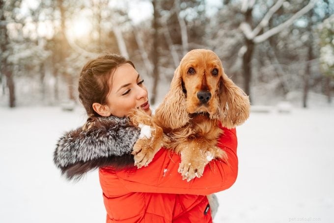 20 Dog Breeds Known for Unwavering Loyalty – Expert Guide