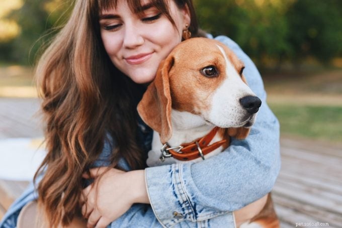 20 Dog Breeds Known for Unwavering Loyalty – Expert Guide
