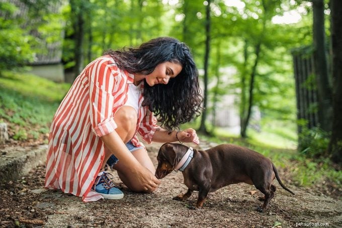 20 Dog Breeds Known for Unwavering Loyalty – Expert Guide