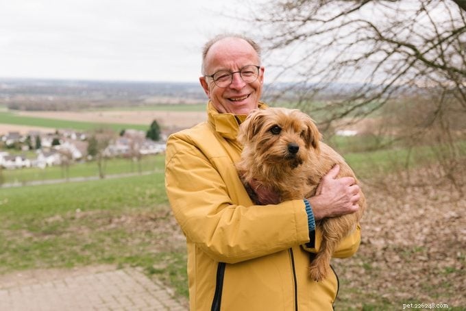 20 Dog Breeds Known for Unwavering Loyalty – Expert Guide