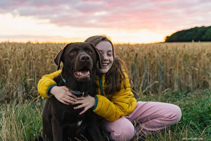 20 Dog Breeds Known for Unwavering Loyalty – Expert Guide