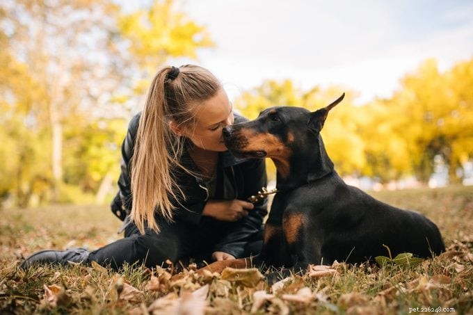 20 Dog Breeds Known for Unwavering Loyalty – Expert Guide