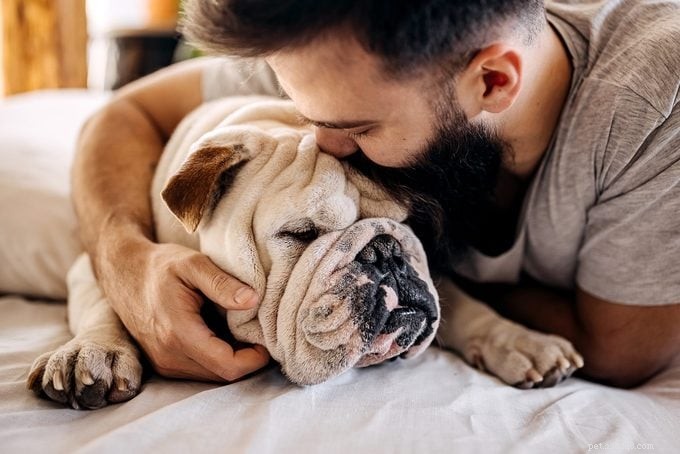 20 Dog Breeds Known for Unwavering Loyalty – Expert Guide