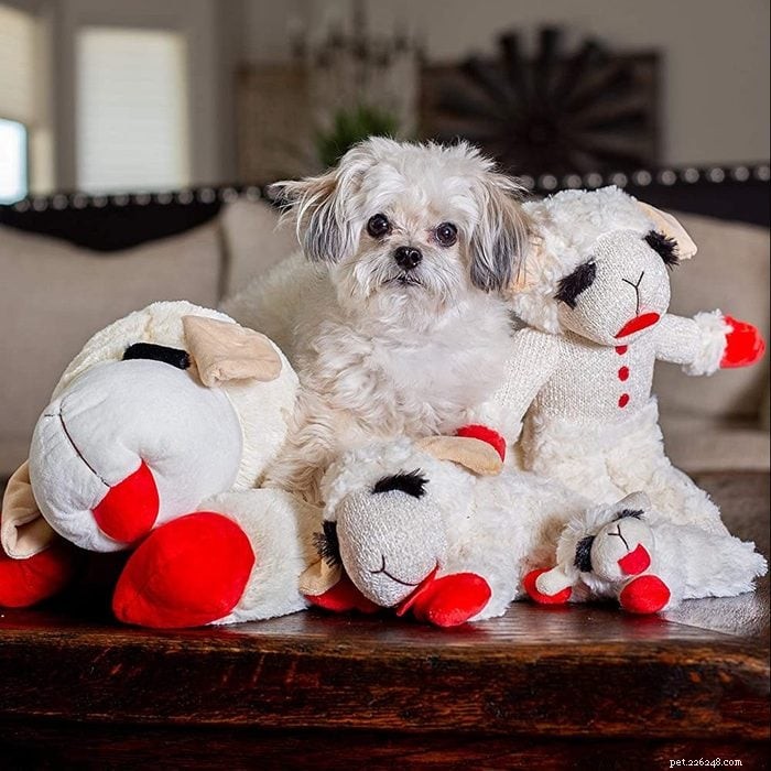 Top 10 Amazon Dog Toys Picked by a Certified Pet Expert
