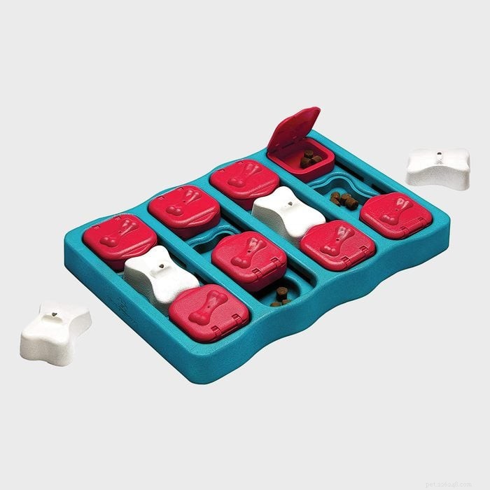 Top 10 Amazon Dog Toys Picked by a Certified Pet Expert