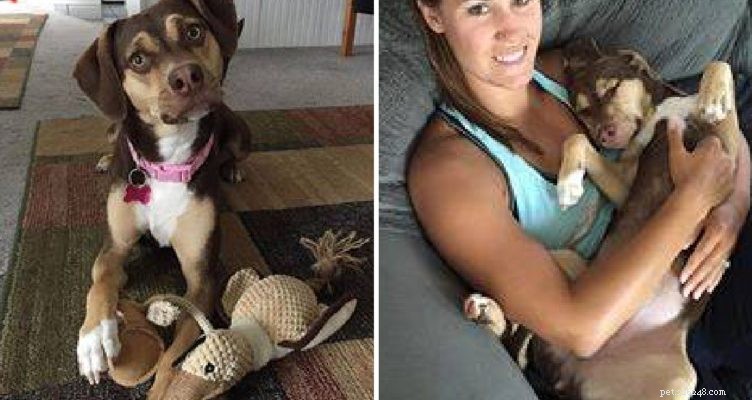 Dog’s Heroic Act Saves Baby and Sibling from Cold Weather
