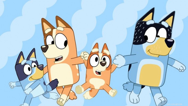 Meet the Remarkably Long‑Lived Canines Behind Bluey and Other Legendary Dogs