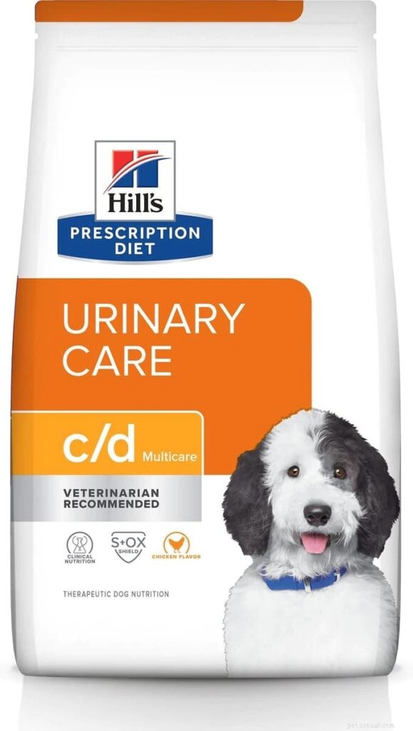 Top 6 Vet‑Approved Urinary Dog Foods of 2026 – Expert‑Backed Choices