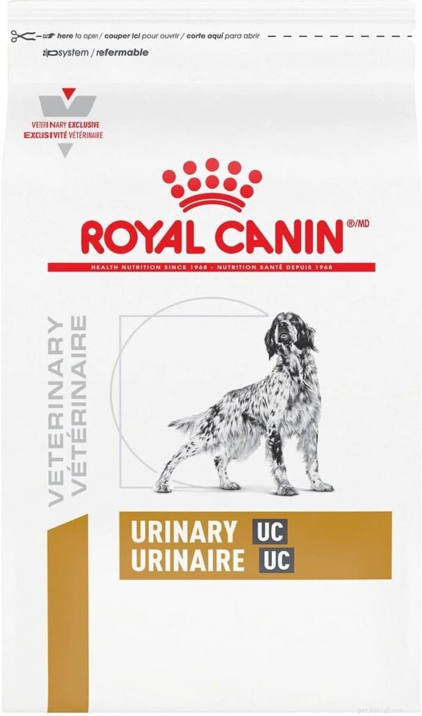 Top 6 Vet‑Approved Urinary Dog Foods of 2026 – Expert‑Backed Choices