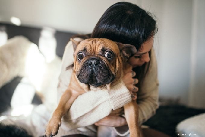 12 Ways You’re Unintentionally Annoying Your Dog (and How to Fix It)