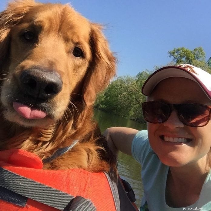 70 Hilarious Dog Photos That Will Brighten Your Day