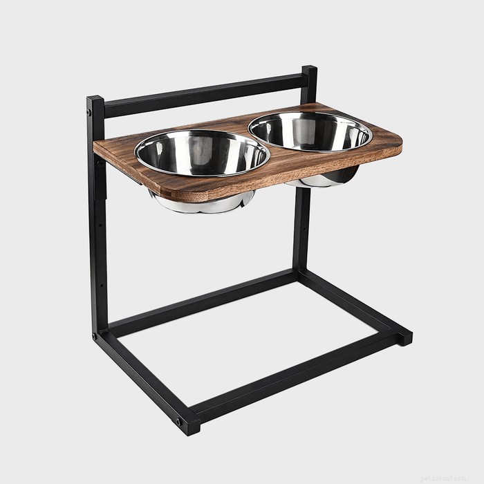 Top 9 Elevated Dog Bowls for Every Breed