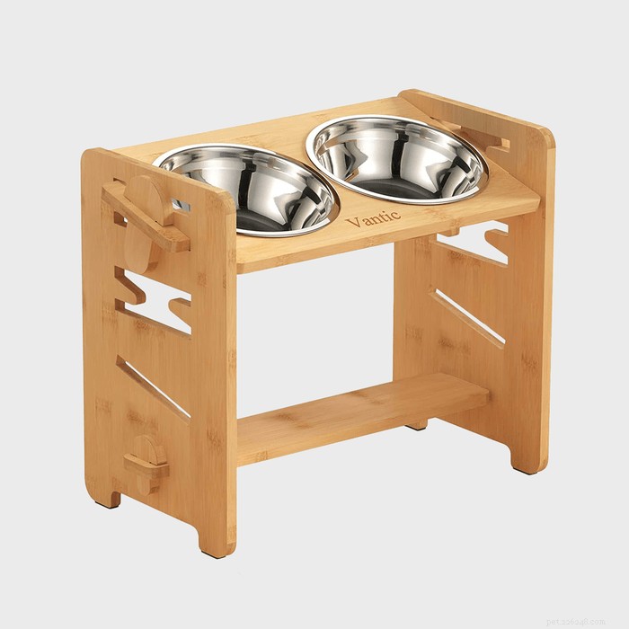 Top 9 Elevated Dog Bowls for Every Breed