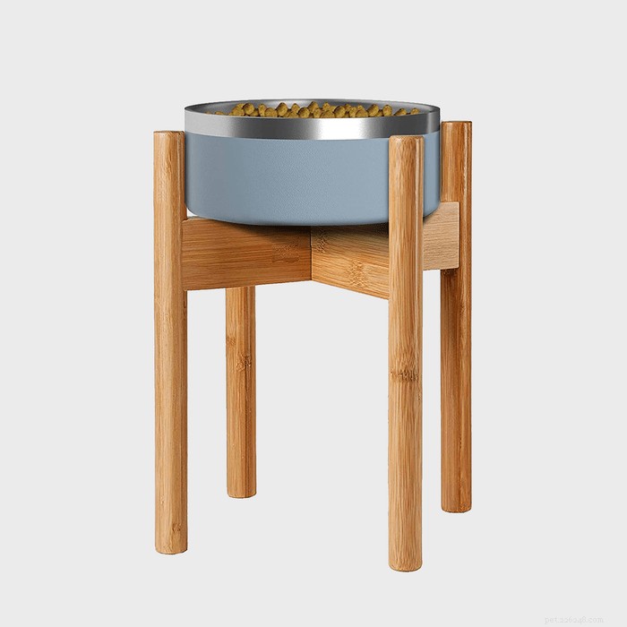 Top 9 Elevated Dog Bowls for Every Breed