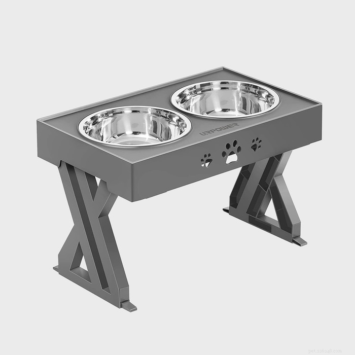 Top 9 Elevated Dog Bowls for Every Breed