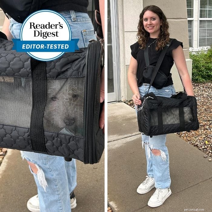 Top 8 Dog Carriers for Safe, Comfortable Travel – 2026 Guide