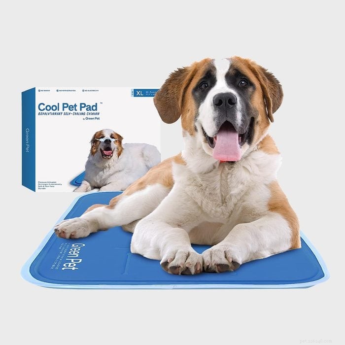 Top 5 Cooling Dog Beds to Keep Your Pup Cool and Comfortable