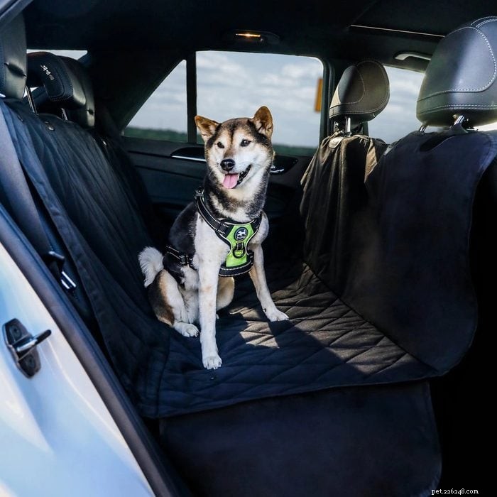 Top 6 Dog Car Hammocks for Safe, Clean, and Comfortable Travel