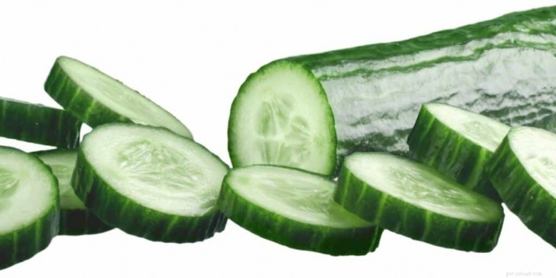 Can Hamsters Safely Eat Cucumbers? Health Benefits & Feeding Tips