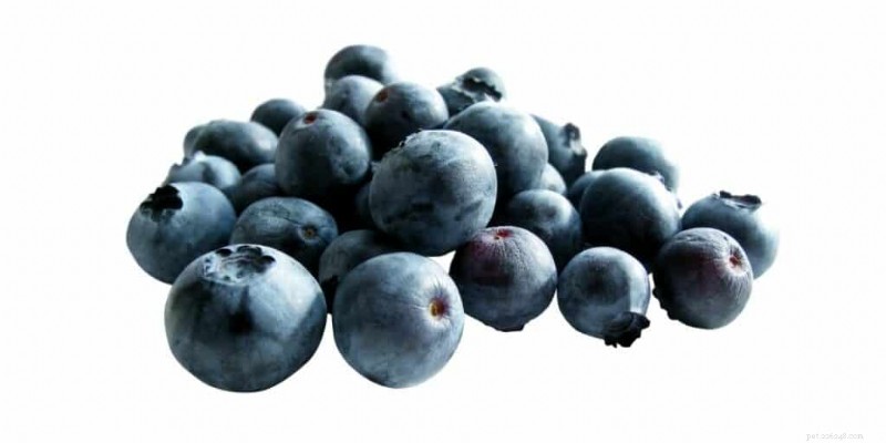 Are Blackberries Safe and Nutritious for Your Hamster? A Care Guide