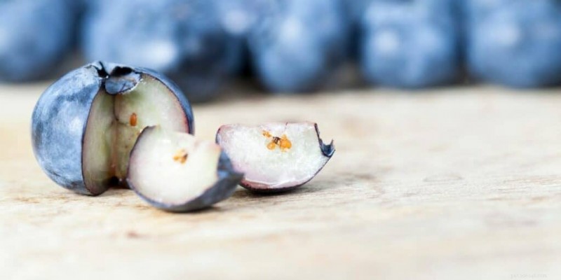 Finely chopped blueberries for hamsters Blueberries for Hamsters: Safe Portions, Feeding Tips, and Health Benefits