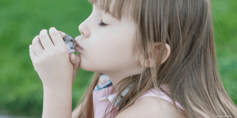Do Hamsters Need Sunlight? Essential Light Guidelines for Health & Well‑Being