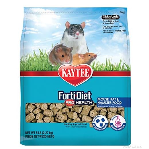 Syrian Hamster Nutrition: Essential Foods & Feeding Tips