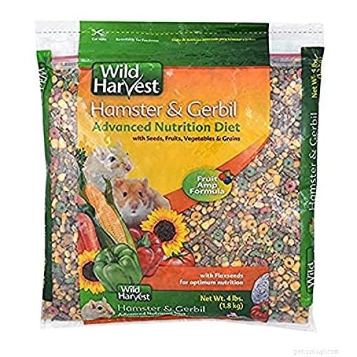 Syrian Hamster Nutrition: Essential Foods & Feeding Tips