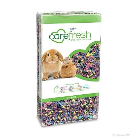 Can Hamsters Vomit? Understanding the Myth and Protecting Your Pet