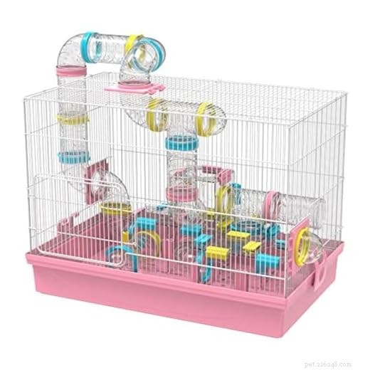 7 Essential Items Every Hamster Owner Needs