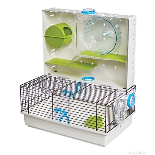 7 Essential Items Every Hamster Owner Needs