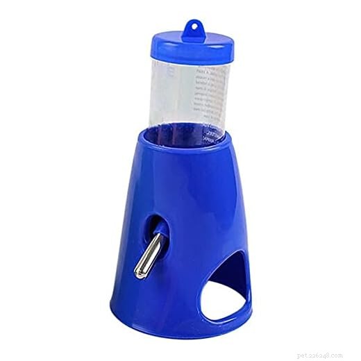 7 Essential Items Every Hamster Owner Needs
